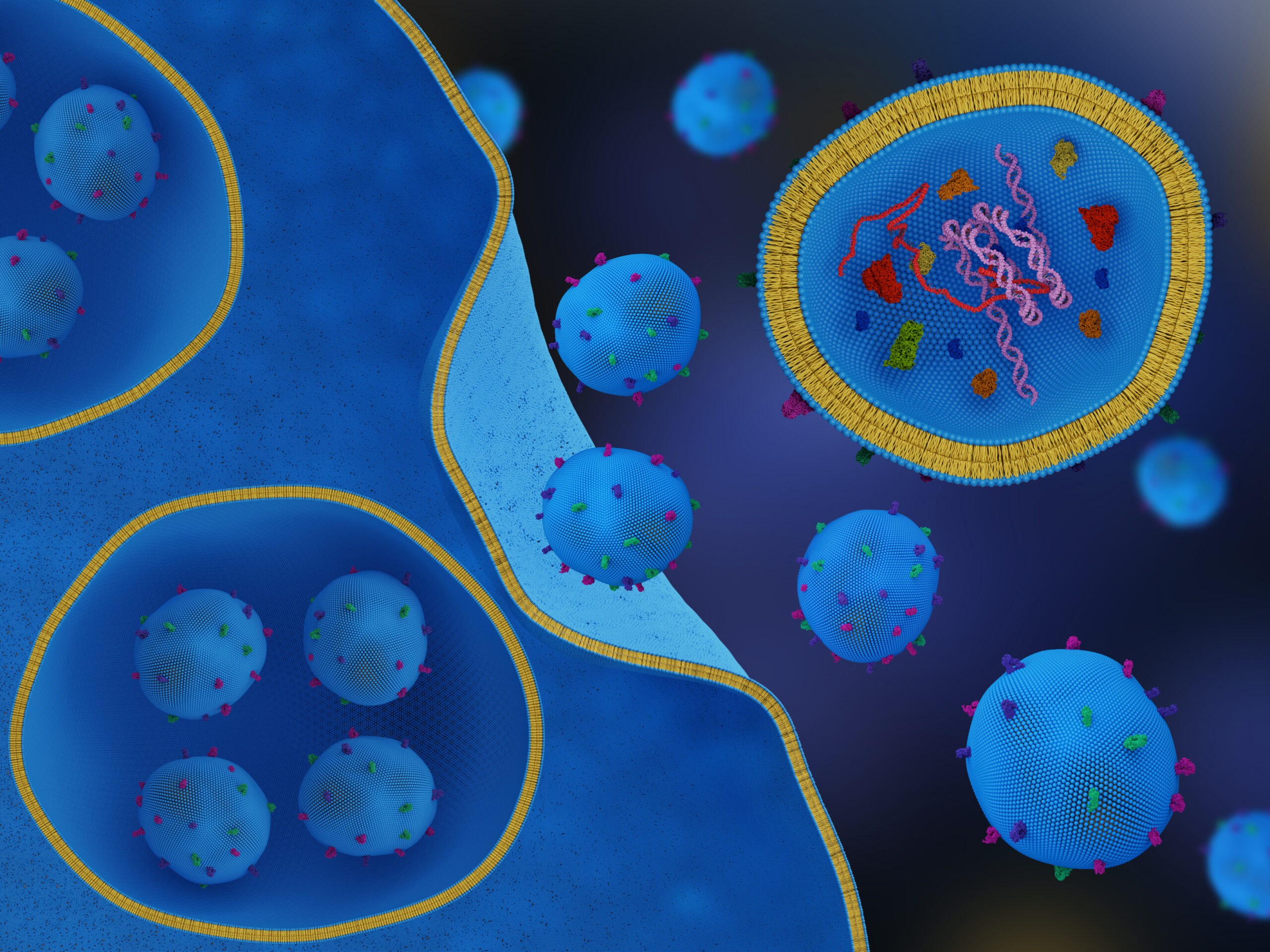 3d render of a cell secreting exosomes